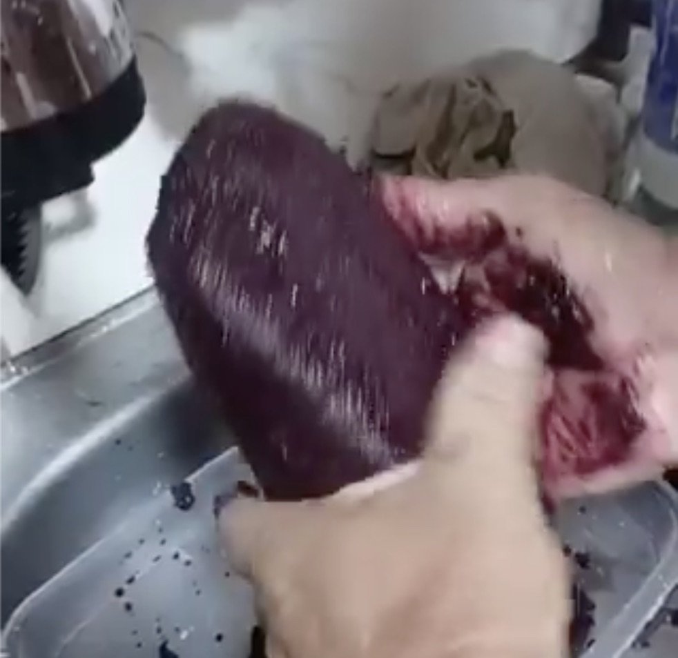 VÍDEO: Cliente diz ter achado papel higiênico dentro de açaí comprado na Feira da Panair