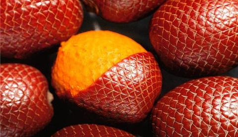 A fruta amazônica que tratou cegueira noturna infantil em 20 dias