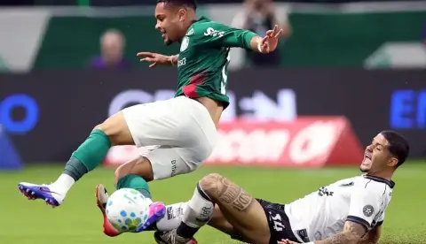Palmeiras empata com Botafogo e perde liderança para o Flamengo