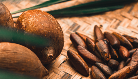 A detailed close-up of coconuts and seeds on a woven mat, showcasing natural textures and colors.