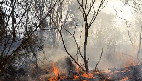 Fumaça e calor extremo ameaçam a saúde do trabalhador no Amazonas