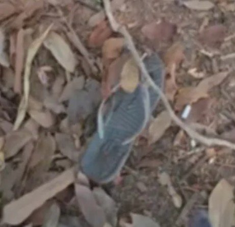 Mulher de 42 anos é encontrada morta em área de mata no Planalto