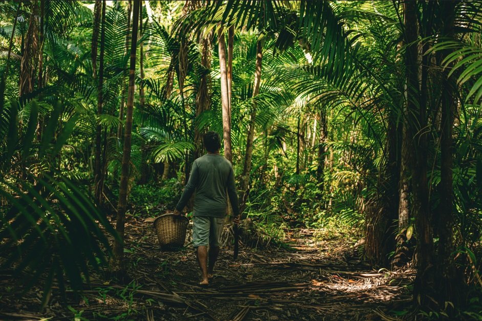 Dia da Amazônia: O que existe por trás de um produto cosmético feito com ingredientes da floresta?