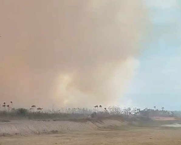 Incêndio em área de vegetação mobiliza cinco equipes dos Bombeiros na AM-070