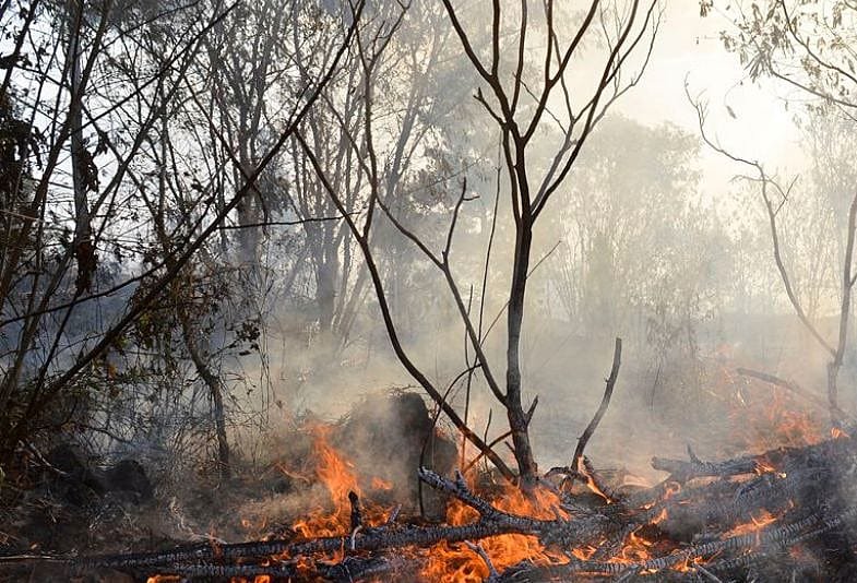Fumaça e calor extremo ameaçam a saúde do trabalhador no Amazonas