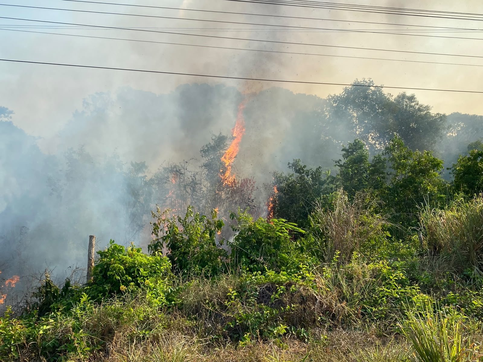 Área de 100 hectares é consumida por fogo no km 30 da AM-070