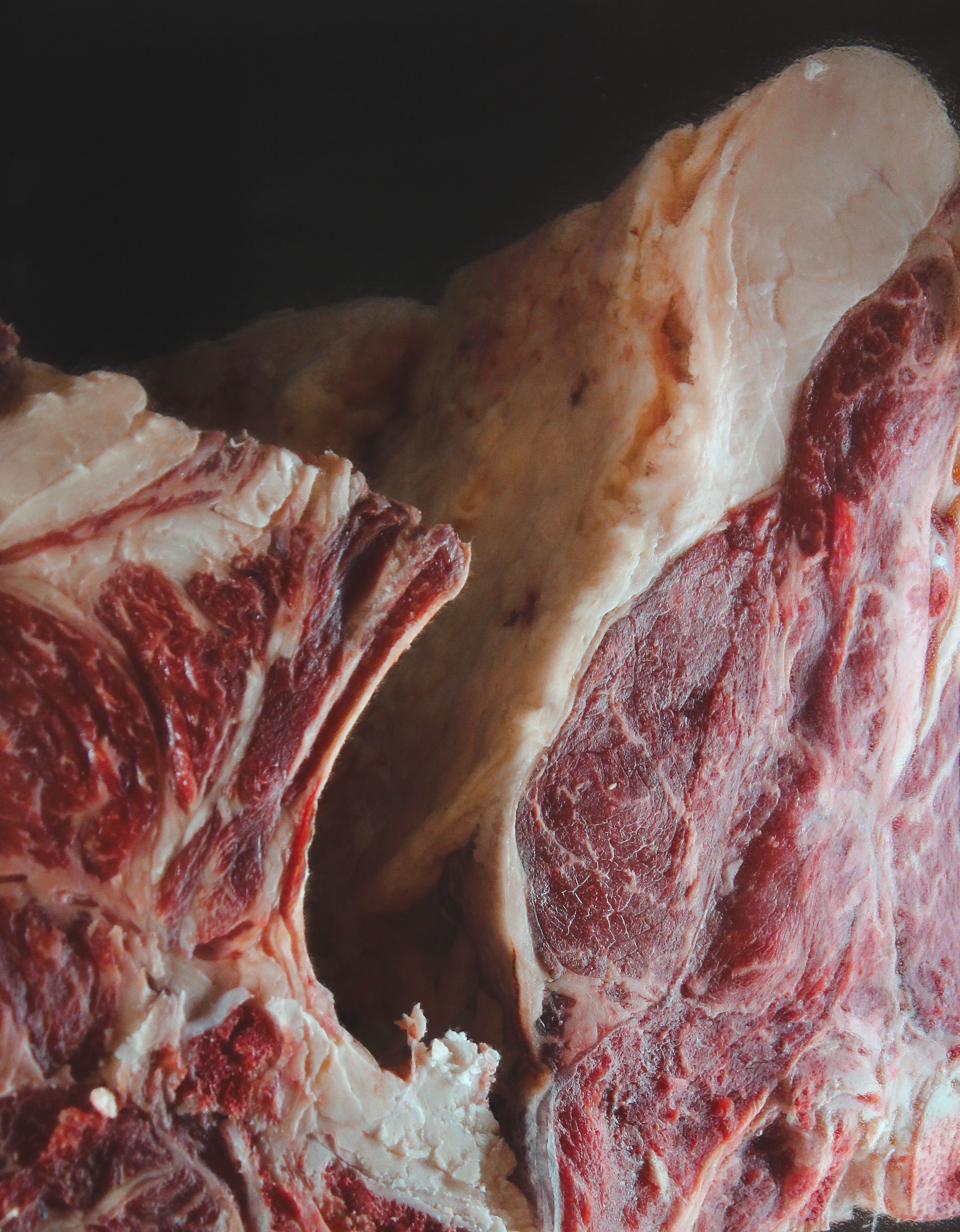 União Europeia barra exportações de carnes e outros produtos brasileiros a partir de hoje