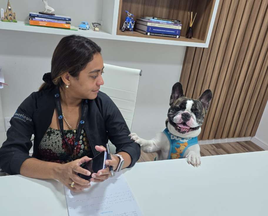 Calor de Manaus exige cuidados redobrados com cães braquicefálicos