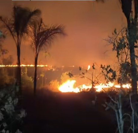 Incêndio devastador consome área equivalente a 50 campos de futebol na AM-070