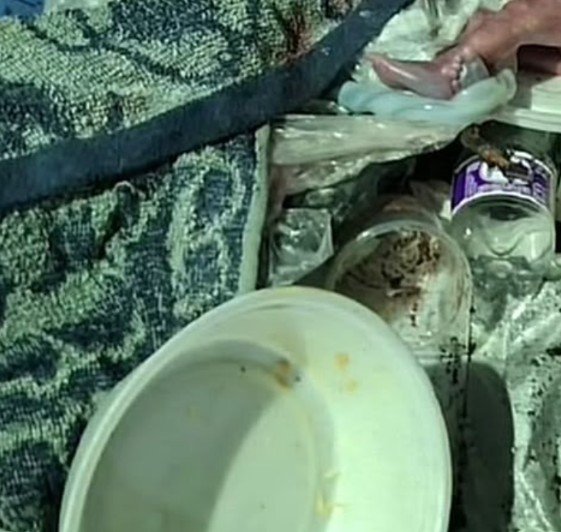 Em busca de comida, moradores de rua encontram feto dentro de lixeira no Centro