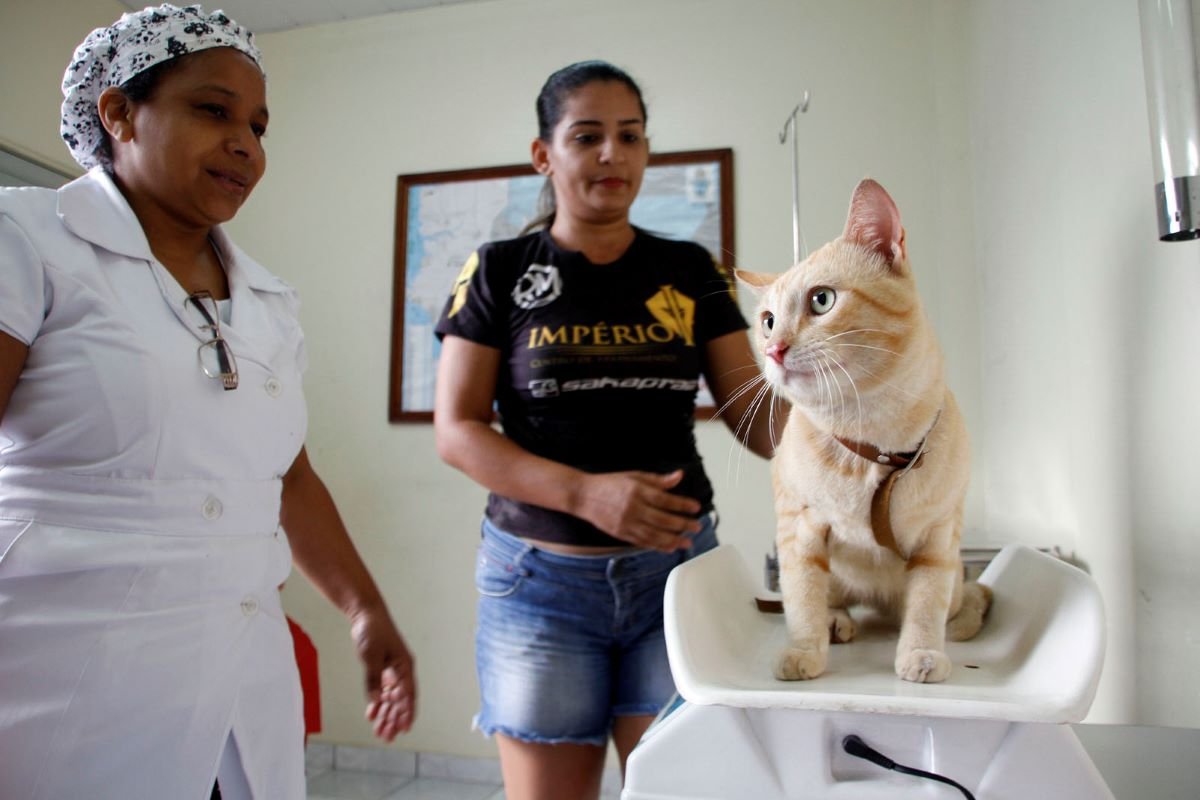 Ação leva castração gratuita de animais à comunidade do Tarumã-Açu neste fim de semana