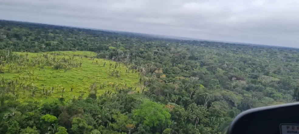 Quatro novas reservas são criadas na região da BR-319 no Amazonas