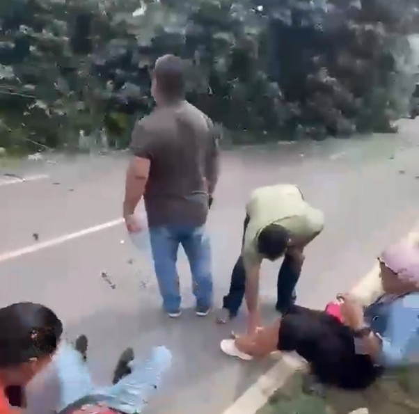 Derrubada de árvore termina com casal em avenida do Colônia Terra Nova
