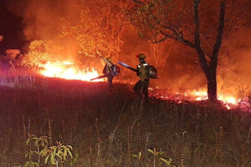 Autazes lidera ranking de queimadas no Amazonas com 109 focos em 48 horas; confira