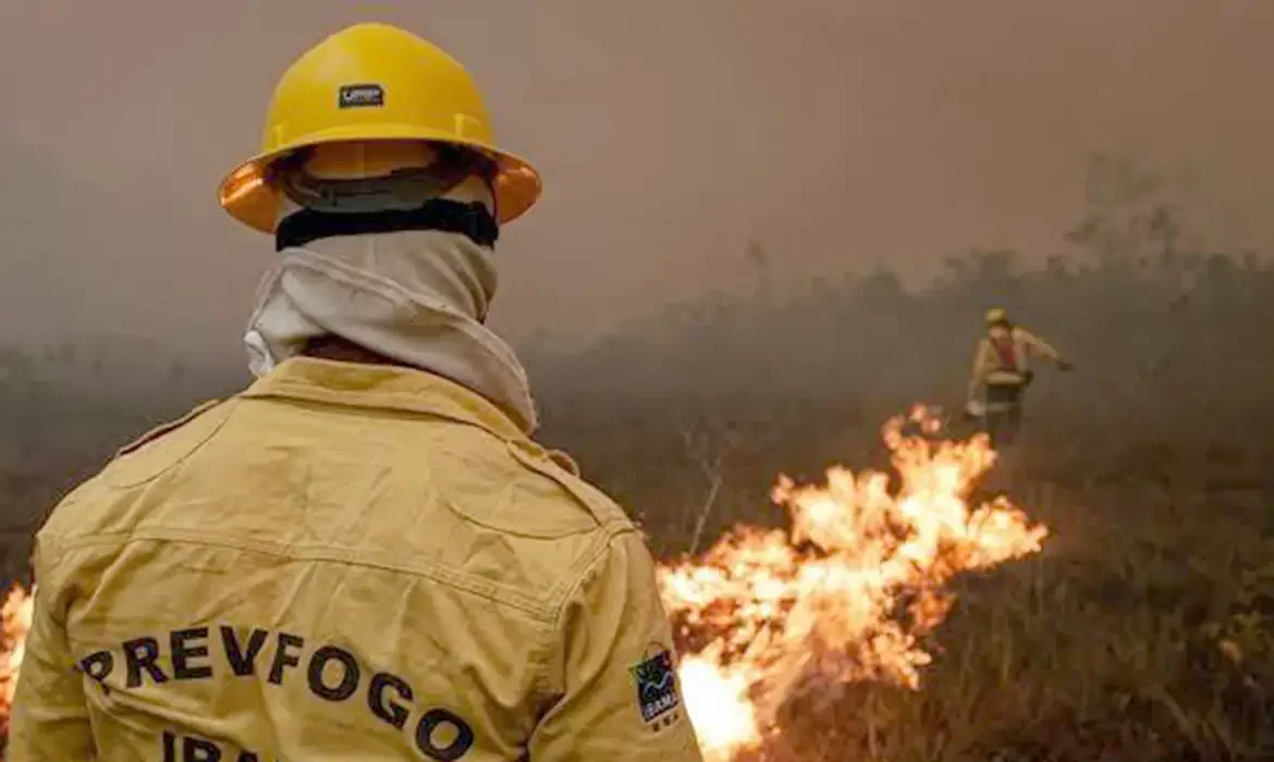 Força-tarefa extingue mais de 300 focos de incêndio e queimadas caem no Amazonas