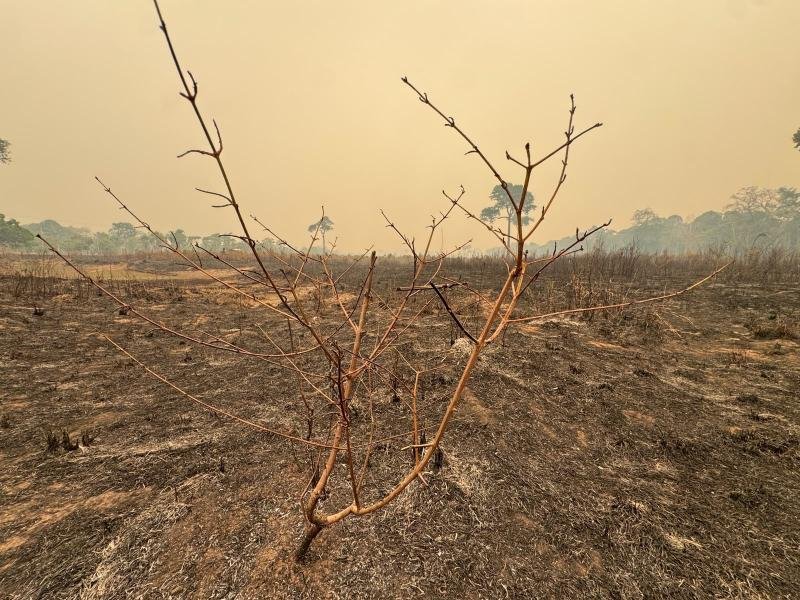 Governo federal libera quase R$ 8 milhões para seis municípios do Amazonas no combate a desastres e queimadas