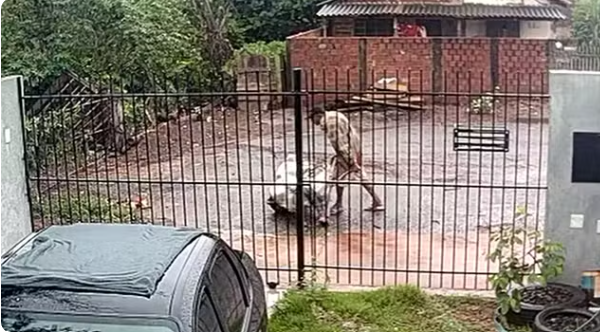 Homem é preso após abandonar companheira inconsciente dentro de saco de cal
