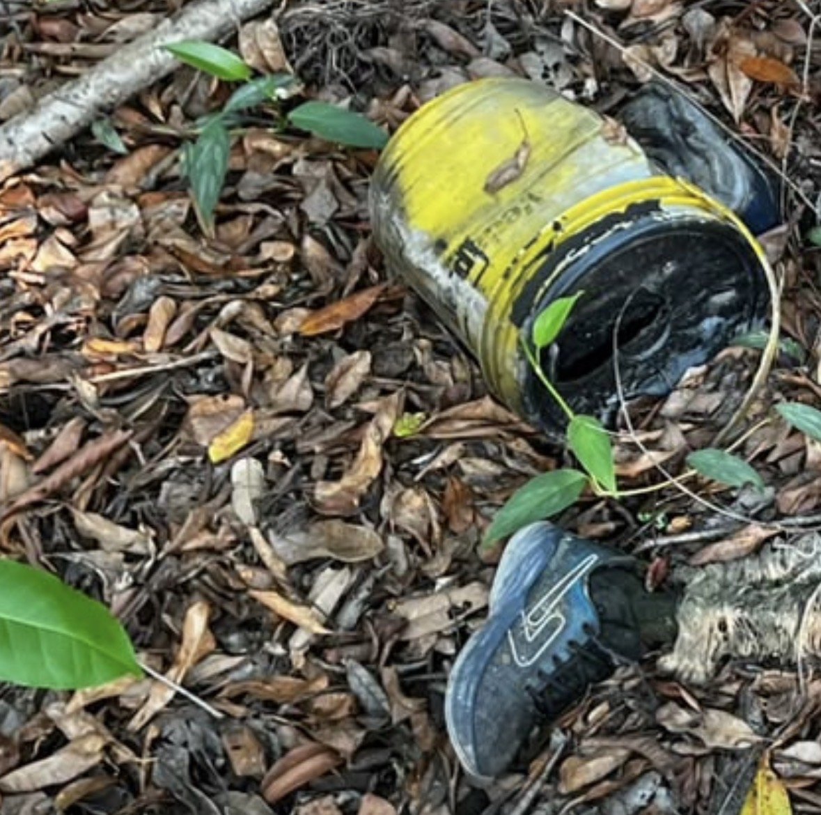 Corpo em avançado estado de decomposição é encontrado em área de mata na Ponta Negra
