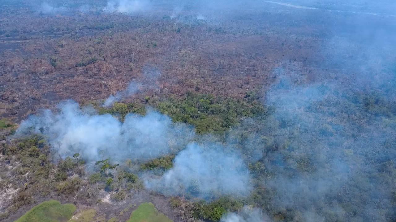 Oito em cada dez focos de fogo no Amazonas estão em propriedades rurais privadas