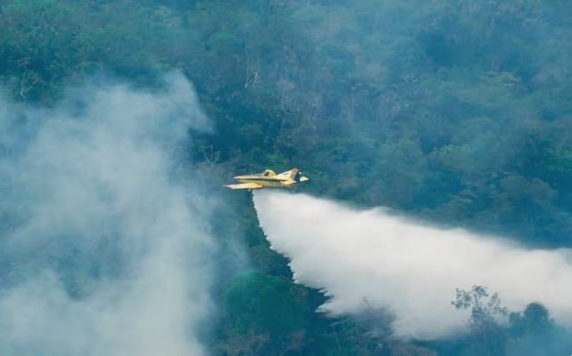 Forças federais já extinguiram mais de 300 focos de incêndio no Amazonas