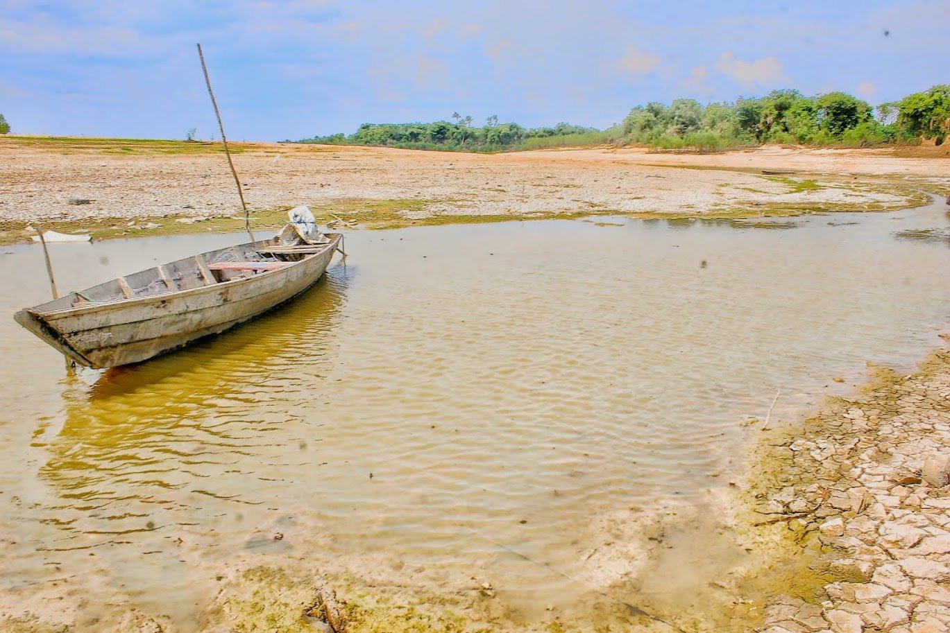 Amazonas tem 22 municípios em situação de emergência por causa da seca