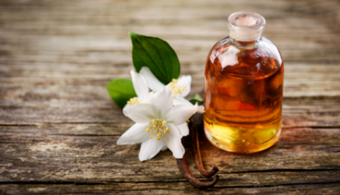 Pracaxi: a semente amazônica colhida sem cortar a árvore que virou aposta da cosmética internacional