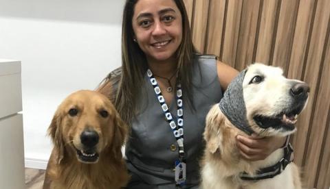 Diagnóstico precoce de neoplasia mamária aumenta chances de cura em cadelas e gatas