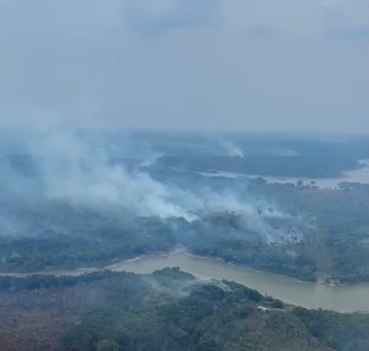Equipes identificaram queimadas intencionais no coração da floresta amazônica, diz Governo Federal