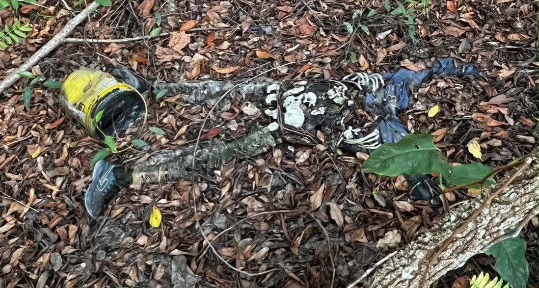Corpo em avançado estado de decomposição é encontrado em área de mata na Ponta Negra