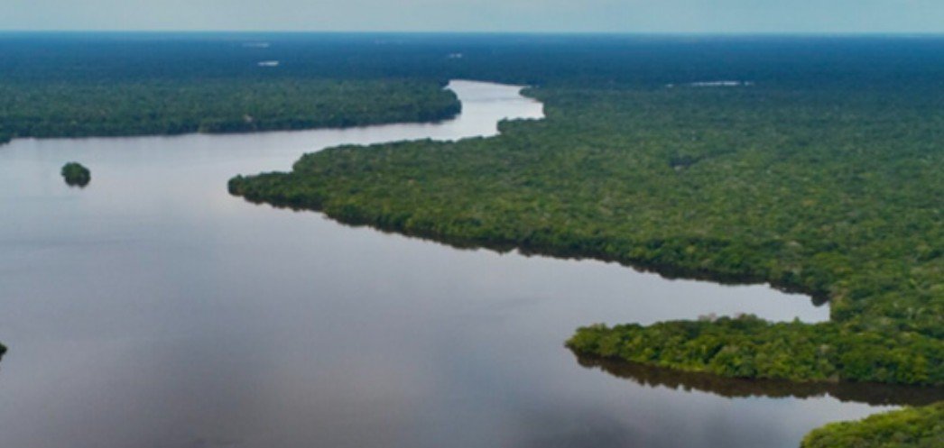 Homem é denunciado por garimpo ilegal que degradou 36 hectares de floresta no Amazonas
