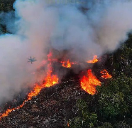 Fogo destrói mais de 3 mil hectares em território indígena há 40 dias em Itacoatiara
