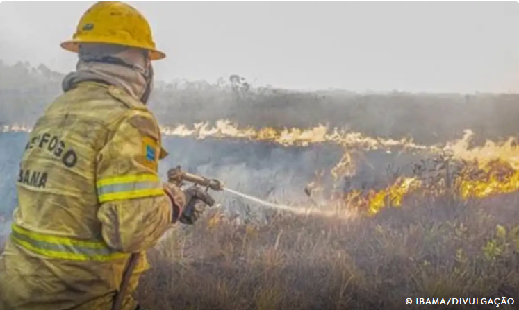 Força-tarefa abre 120 TCOs e investiga ação criminosa em incêndios no Amazonas