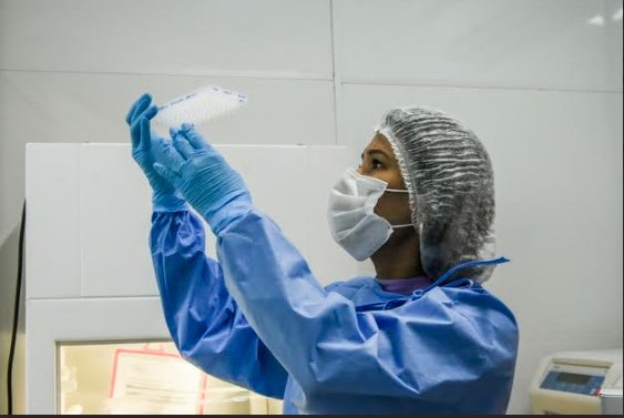 Fiocruz Amazônia abre inscrições para o programa Futuras Cientistas 2027