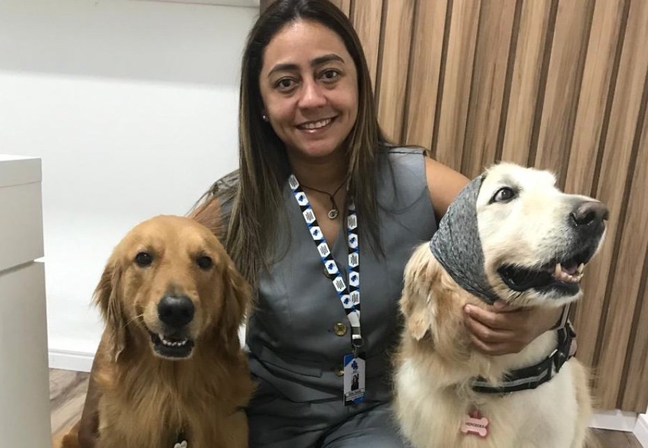 Diagnóstico precoce de neoplasia mamária aumenta chances de cura em cadelas e gatas