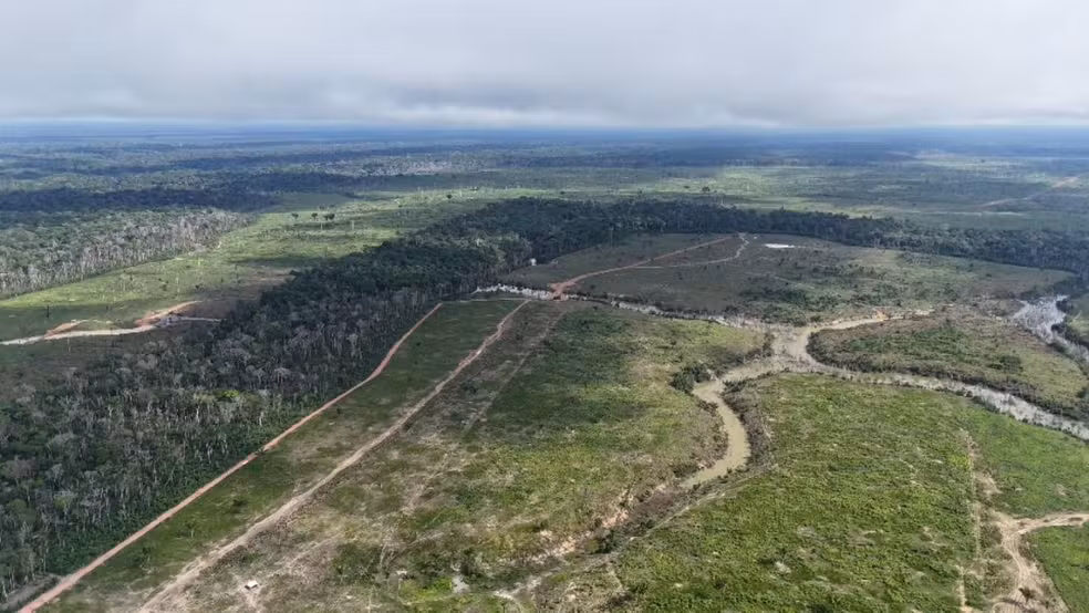 Amazonas reduz desmatamento em 2026, mas áreas protegidas registram derrubadas
