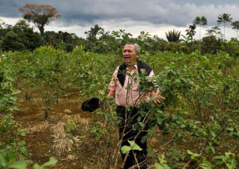 Equador apreende quase 1T de coca; dez estrangeiros são detidos