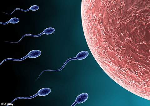 Estudos revelam melhorias na fertilidade do homem com o consumo de cerveja 