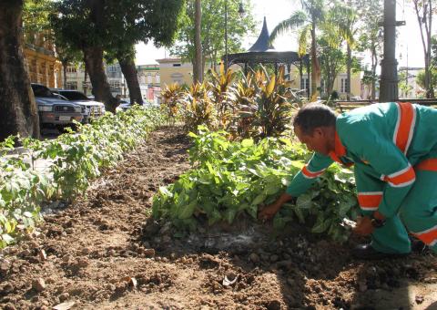 Prefeitura revitaliza paisagismo da Praça Dom Pedro II