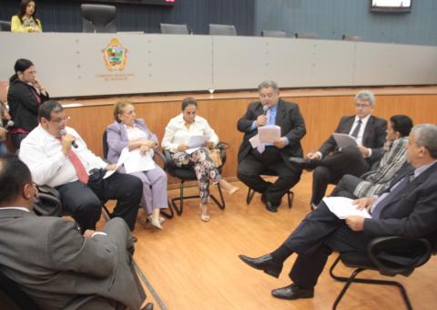 Comissão Especial do Regimento debate sobre a participação nas Comissões Permanentes