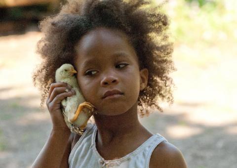 Dados curiosos do Oscar 2013