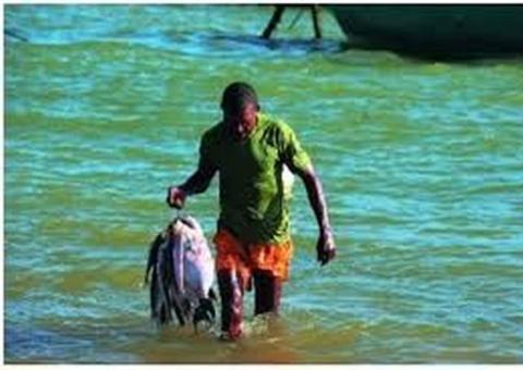 Reserva ambiental reduz número de lagos e causa conflito entre pescadores