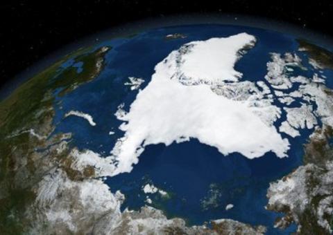   Ártico deve sofrer 'esverdeamento' explosivo nas próximas décadas