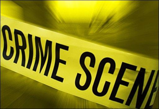 Americano guardava 50 gatos mortos no congelador