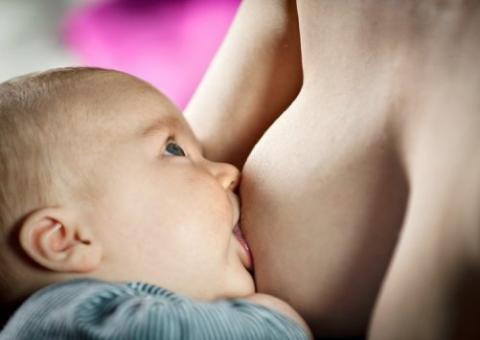 Bebês têm estado de consciência similar ao dos adultos após os 5 meses