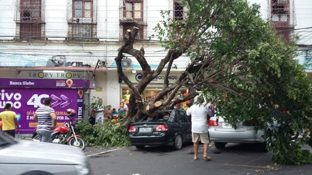 Árvore cai em cima de um carro estacionado na da Avenida Eduardo Ribeiro 