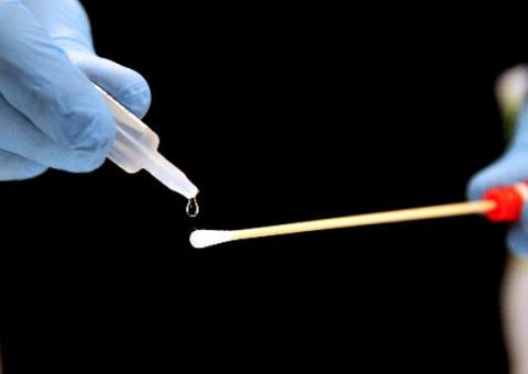 Cientistas descobrem segundo código genético