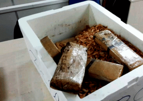 PF prende homem com 50 quilos de maconha dentro de embarcação