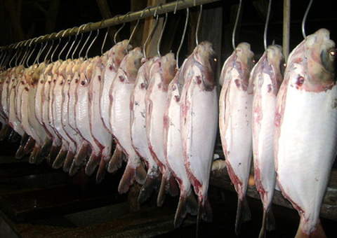 Curso ensina como retirar espinha de peixe, mas você pode aprender aqui