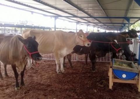 Amazonas Rural deslancha e alavanca setor primário em 2014, diz deputado