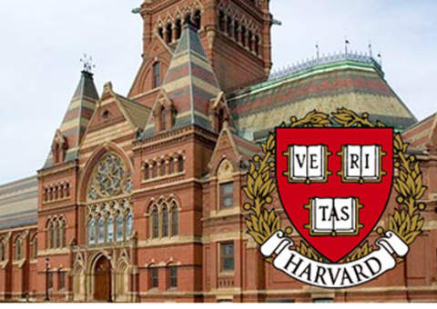 Brasileiras estão entre as melhores no concurso de projetos inovadores em Harvard